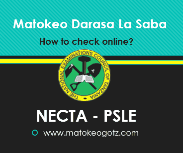 How to check PSLE Result 2023 NECTA 