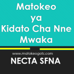 Matokeo Kidato Cha Nne 2023-2024 (NECTA Matokeo Ya Form Four 2023)